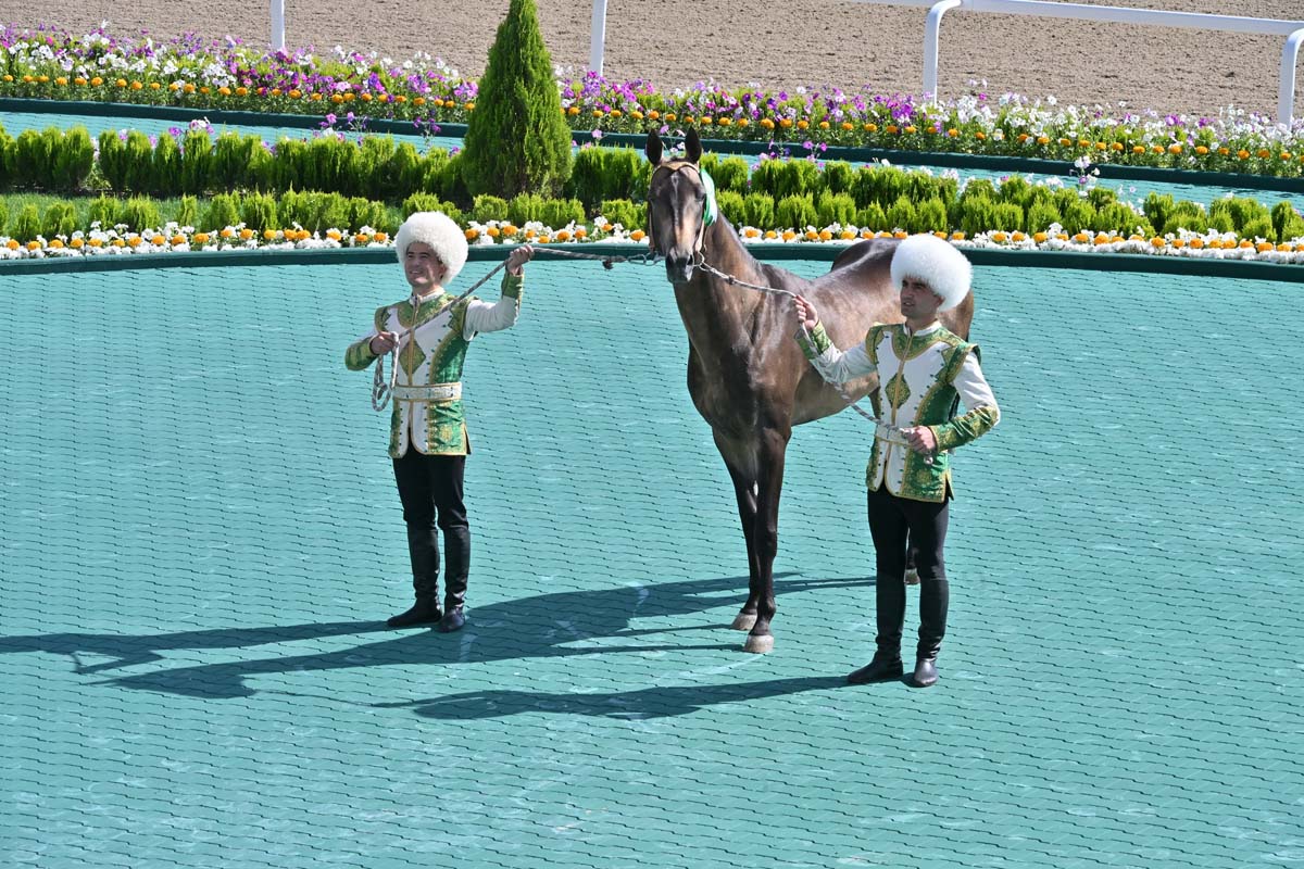 President of Turkmenistan took part in festivities on the occasion of the national holiday of the Turkmen horse